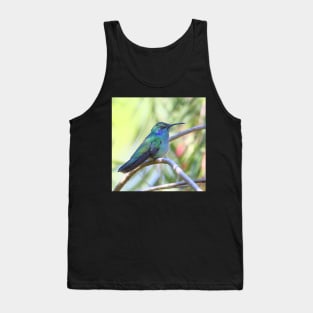 Green Violetear Hummingbird Tank Top